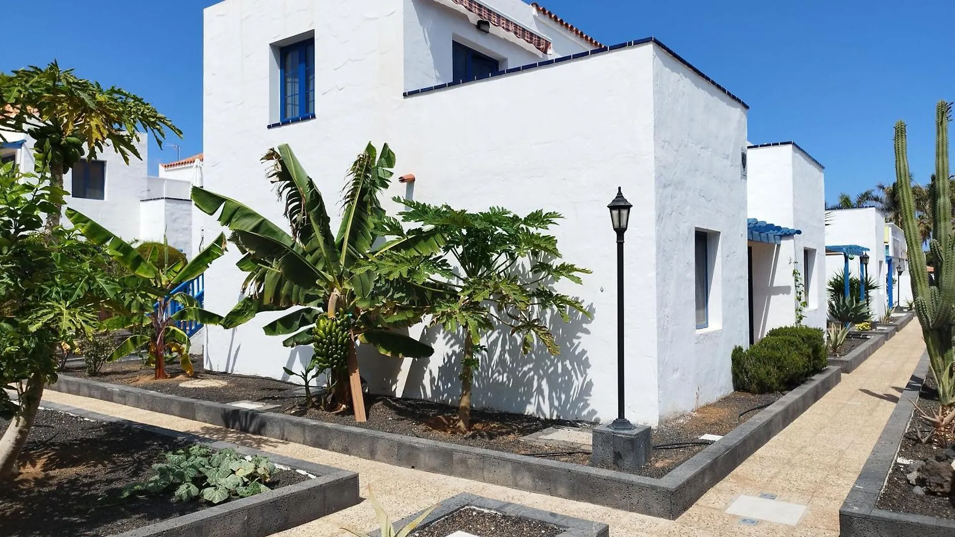 Appartement Casa Freesia à Caleta de Fuste
